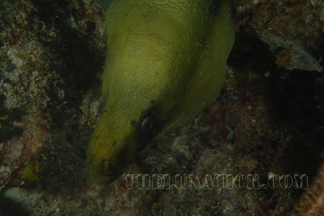 DSC 1678