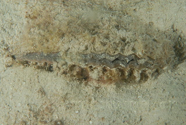 DSC 1686