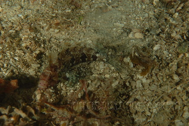 DSC 1698
