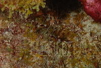 DSC 0661