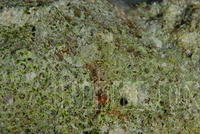 DSC 0755
