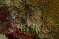DSC 0761