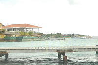 DSC 0896