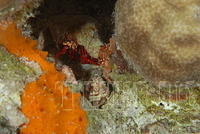 DSC 0961