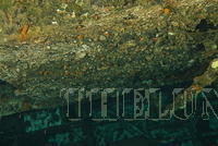 DSC 1040