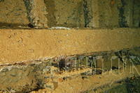 DSC 1050
