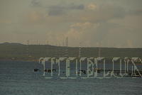 DSC 1066