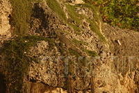 DSC 1067