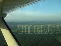 DSCN0953