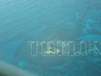 DSCN0970