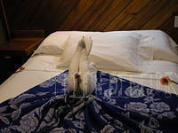 DSCN0975