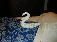 DSCN0977