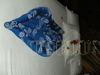 DSCN0978