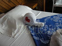 DSCN0979