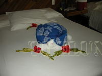 DSCN0980