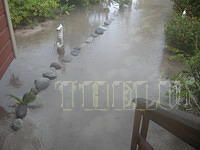 DSCN0984