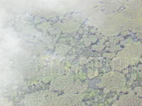 DSCN0991