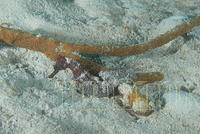 DSC 1357