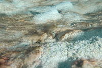 DSC 1361