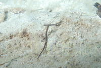 DSC 1368