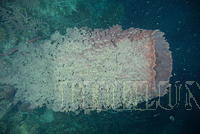 DSC 1400
