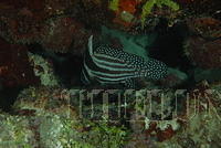 DSC 1451