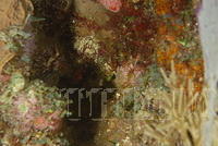 DSC 1515