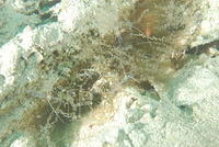 DSC 1639