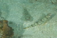 DSC 1653