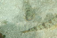 DSC 1655