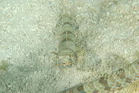 DSC 1656