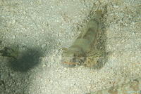 DSC 1659