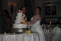 DSC 0200